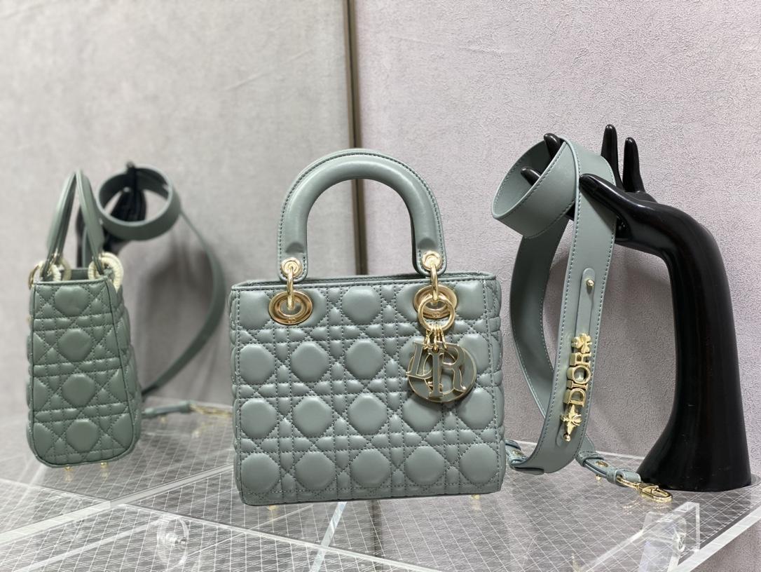 디올 레이디백 (해외배송)
