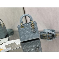 디올 레이디백 (해외배송)