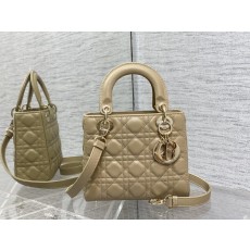 디올 레이디백 (해외배송)